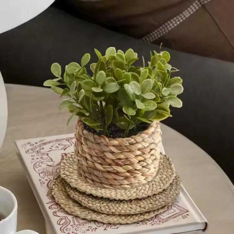 1個の鉢植えの植物、小さな人工植物、屋内ホームデコレーション - Home Office Layout のレビューと価格